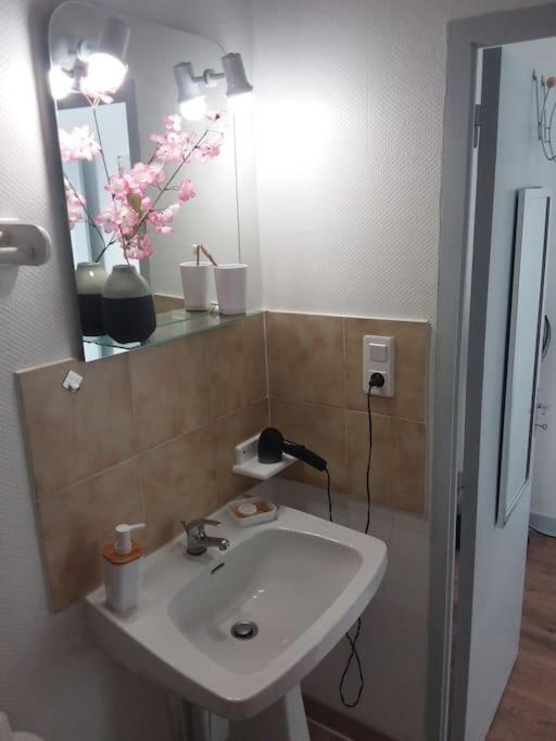Appartement Duplexe De 1 A 4 Chambres Privees Dans Maison Le Teil Экстерьер фото